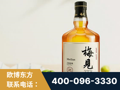 韶山-梅见青梅酒
